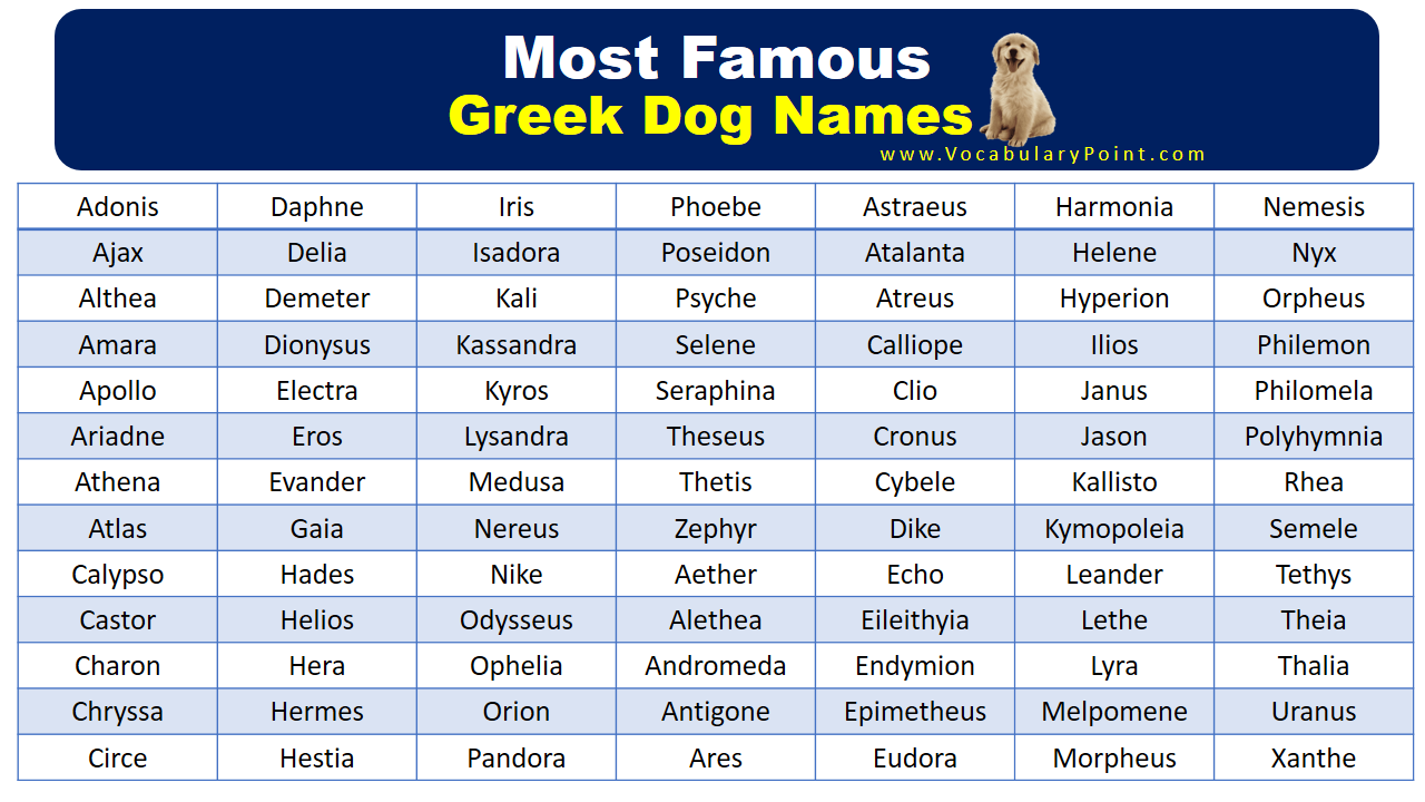 250-most-popular-greek-dog-names-vocabulary-point