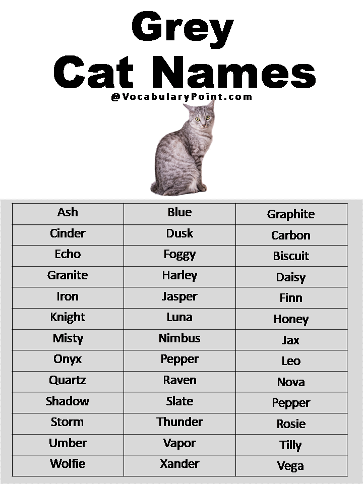 Grey Cat Names