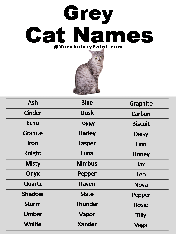 Pin On Cat Names Cat Name Ideas And Inspiration, 47% OFF