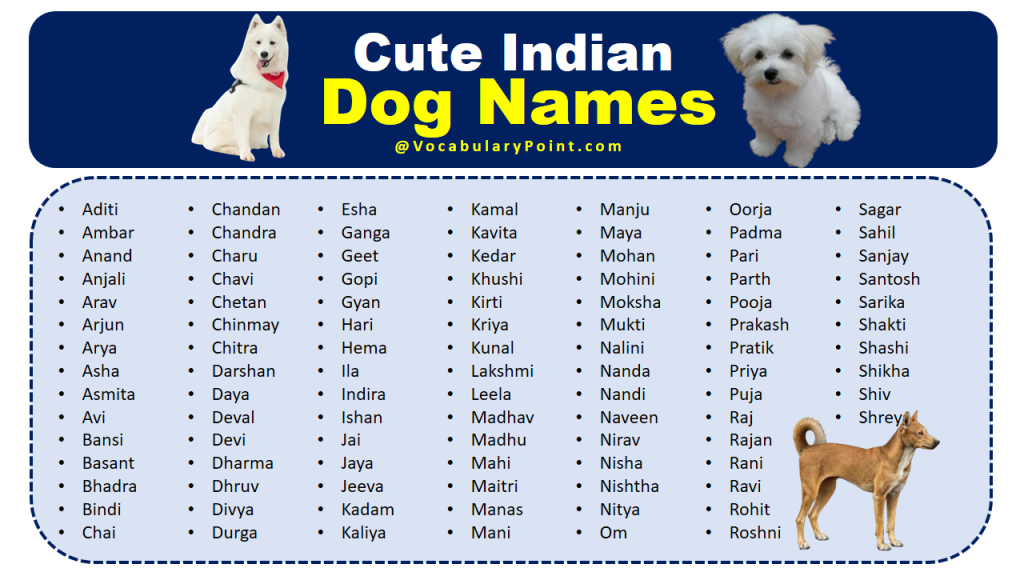 Good Indian Pet Names