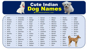 550+ Cute Indian Dog Names (Male and Female) - Vocabulary Point