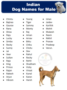 550+ Cute Indian Dog Names (Male and Female) - Vocabulary Point