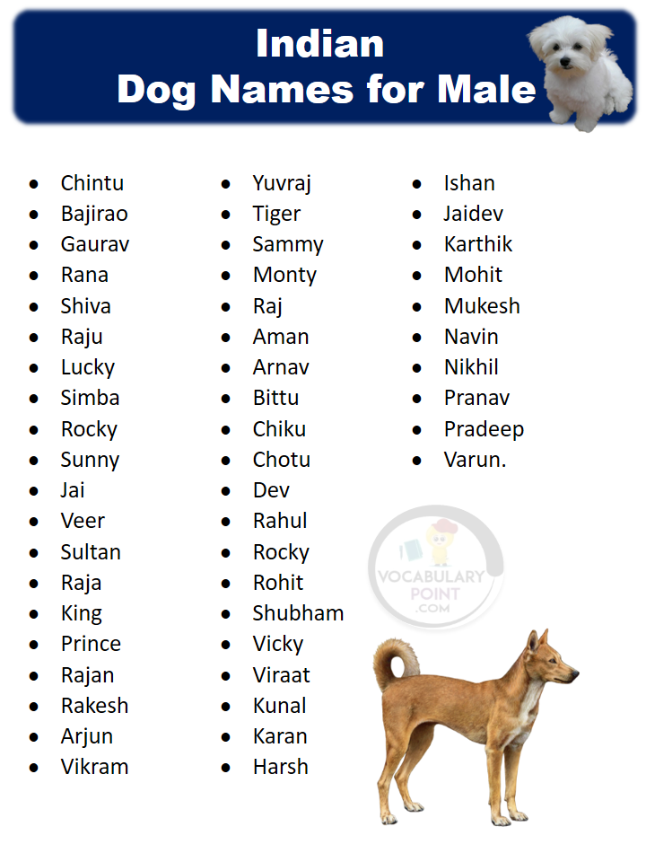 Indian Dog Names Male
