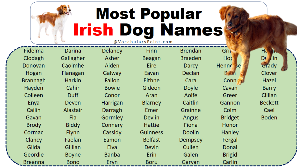 270+ Famous Irish Dog Names For Your New Puppy - Vocabulary Point