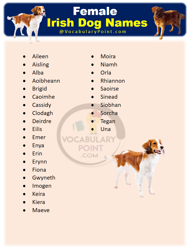 270-famous-irish-dog-names-for-your-new-puppy-vocabulary-point