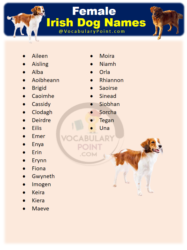 270 Famous Irish Dog Names For Your New Puppy Vocabulary Point