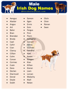 270+ Famous Irish Dog Names For Your New Puppy - Vocabulary Point