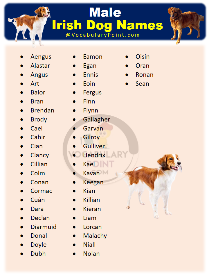 Irish Dog Names Male