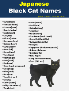 Japanese Cat Names (Funny, Cute and Kitten) - Vocabulary Point