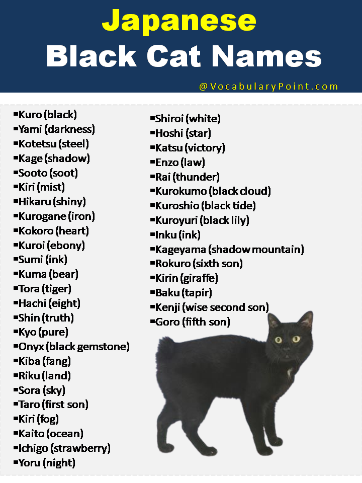 Japanese Black Cat Names