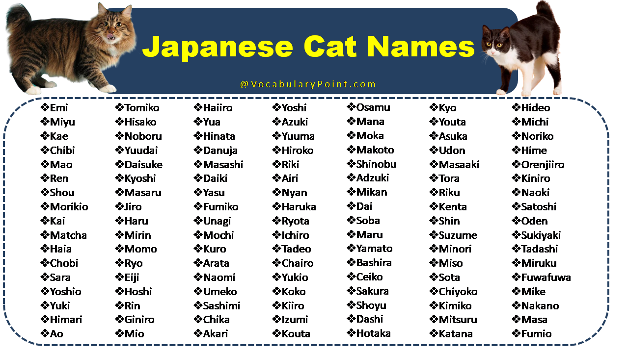 White Cartoon Cat Names Girl