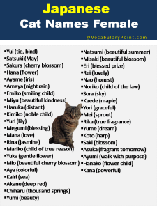 Japanese Cat Names Funny Cute And Kitten Vocabulary Point   Japanese Cat Names Female 225x300 