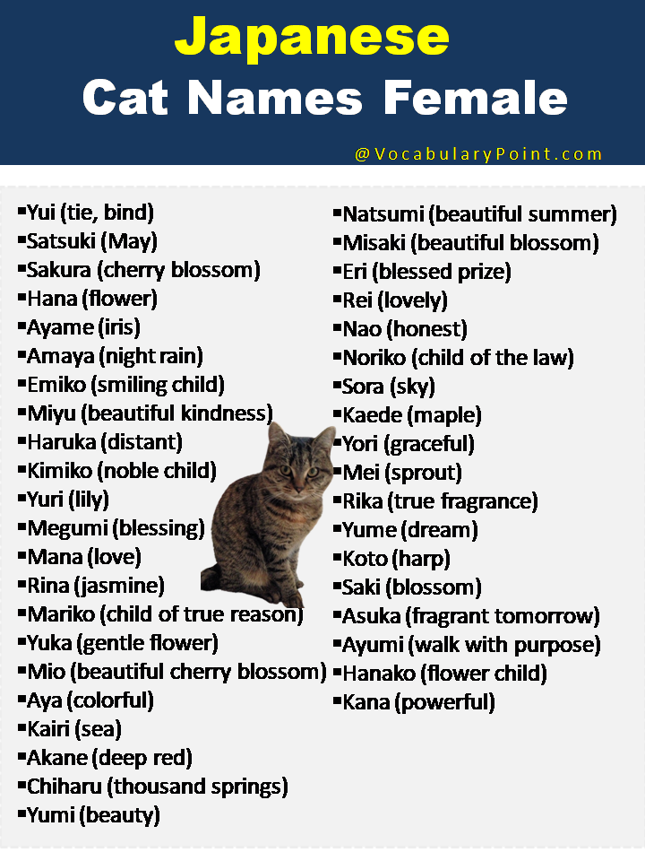 Japanese Cat Names Female