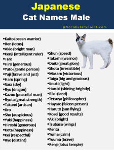 Japanese Cat Names (Funny, Cute and Kitten) - Vocabulary Point