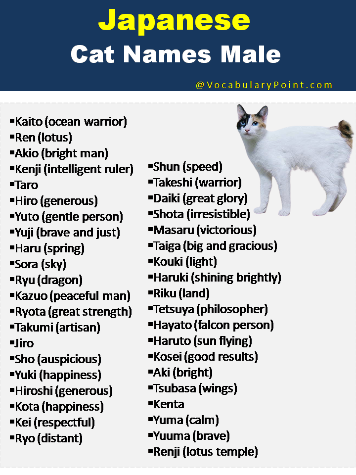 Japanese Cat Names Male