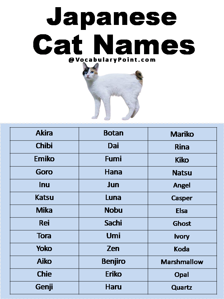 Japanese Cat Names
