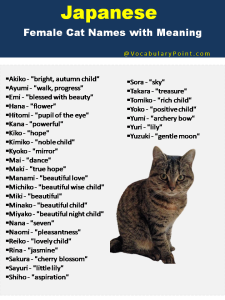 Japanese Cat Names (Funny, Cute and Kitten) - Vocabulary Point