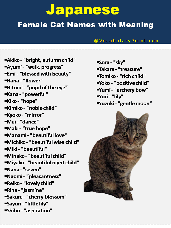 Japanese Female Cat Names with Meaning