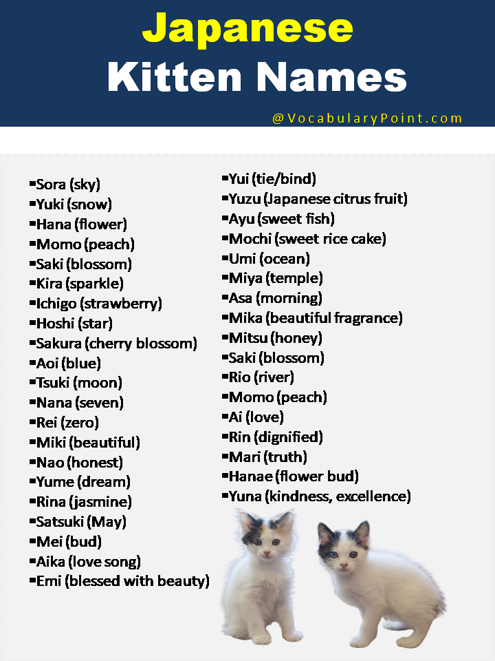 Japanese Kitten Names