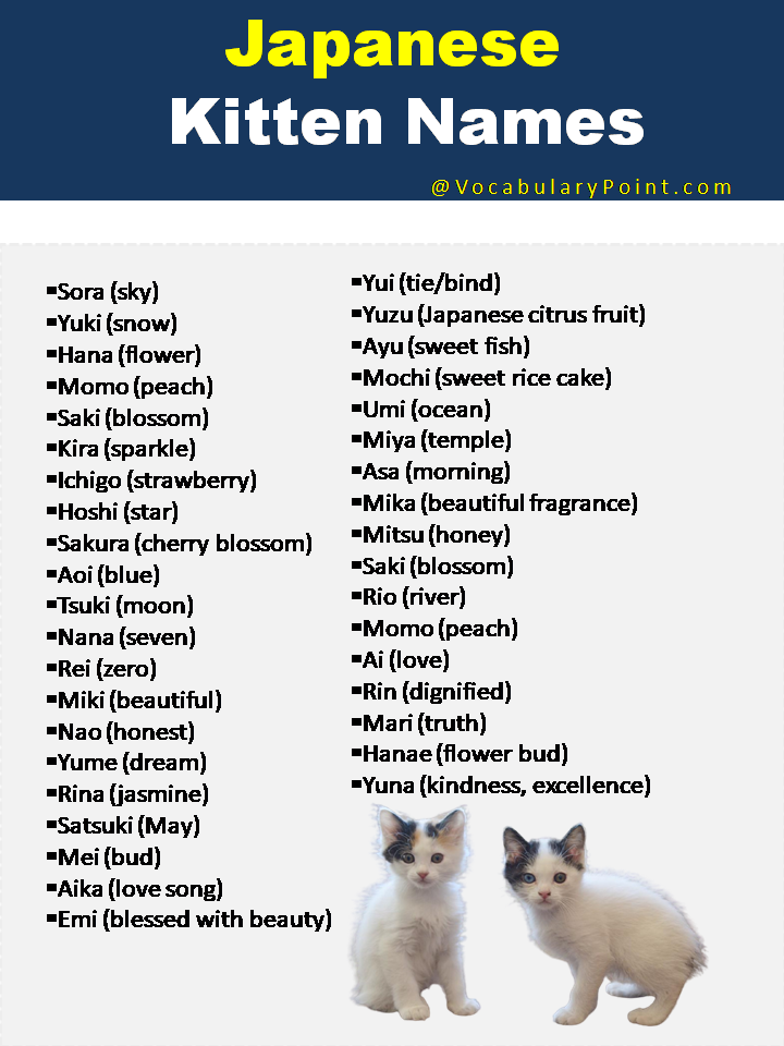 Japanese Cat Names Funny Cute And Kitten Vocabulary Point