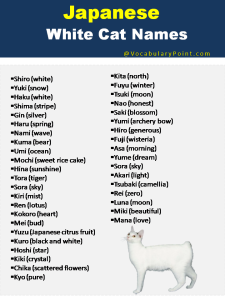 Japanese Cat Names (Funny, Cute and Kitten) - Vocabulary Point