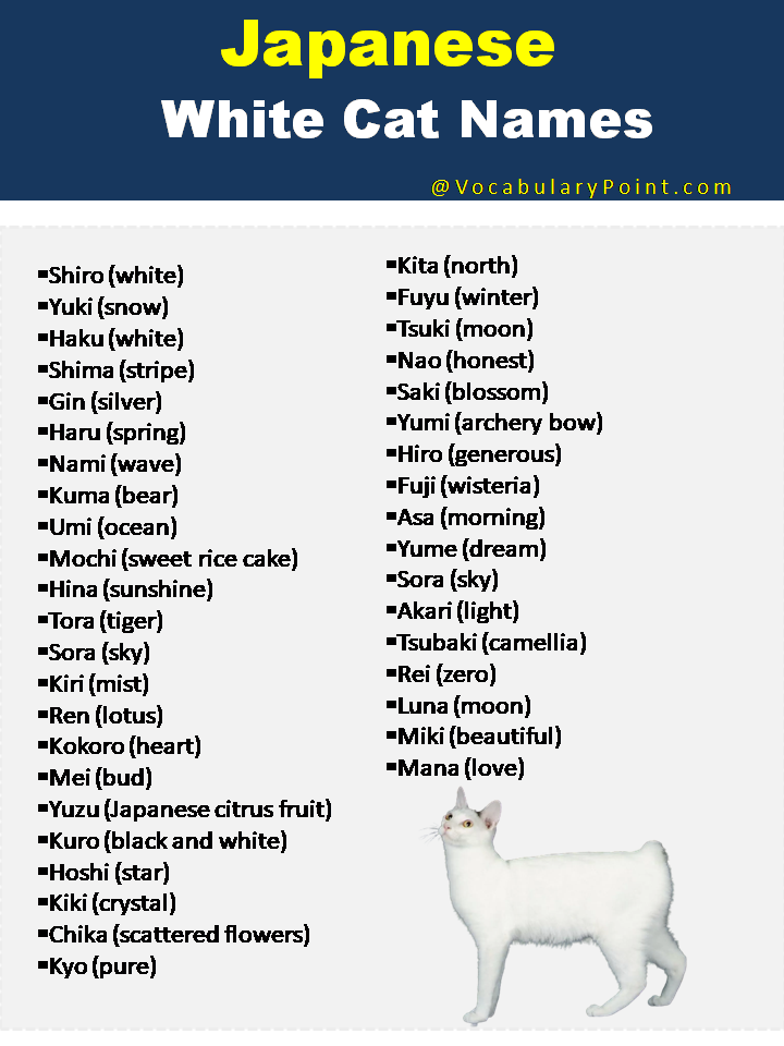 Japanese White Cat Names