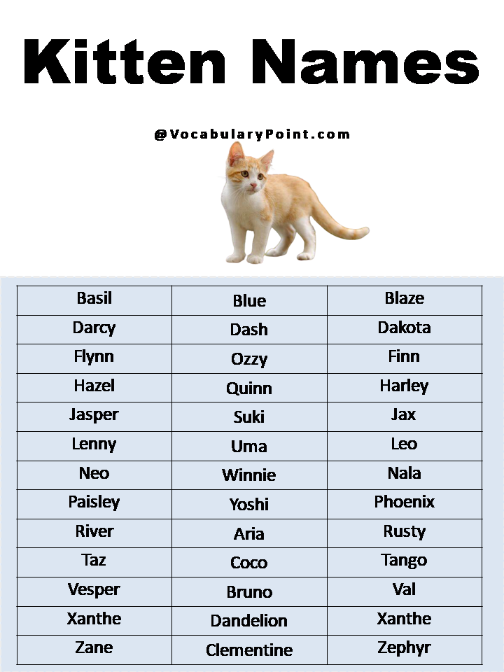 Kitten Names