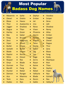 500+ Most Popular Badass Dog Names - Vocabulary Point