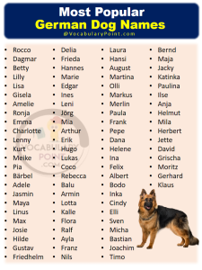 350+ Most Popular German Dog Names - Vocabulary Point