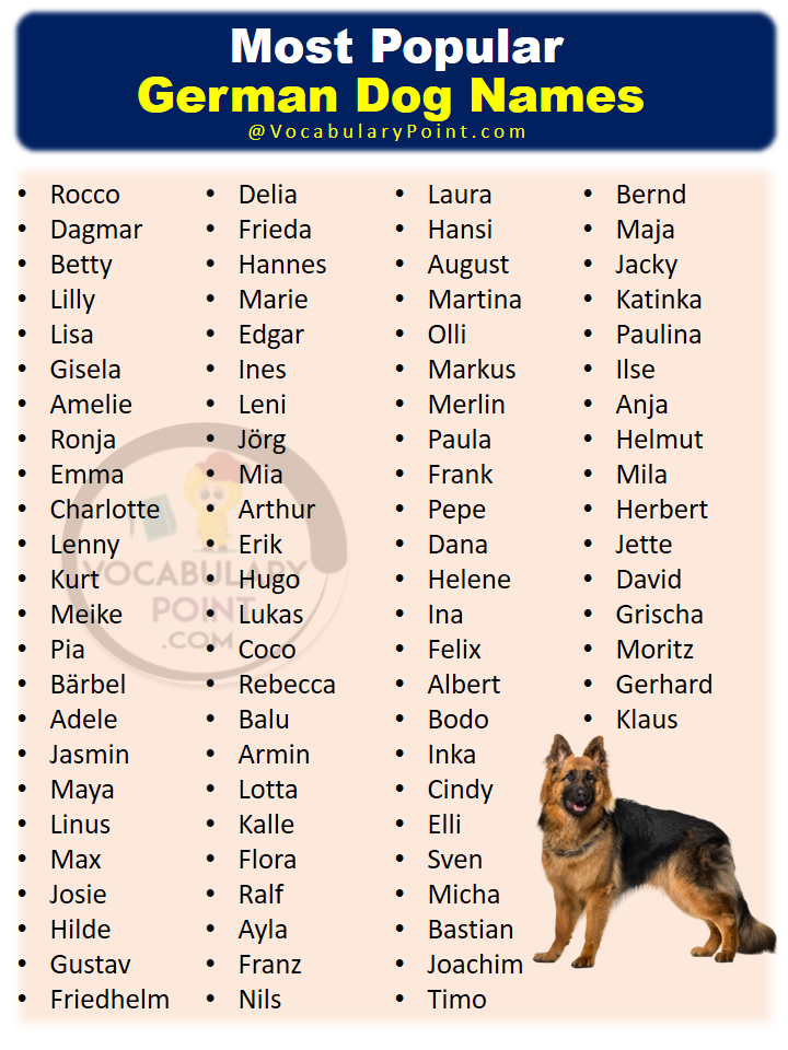 Most Popular German Dog Names