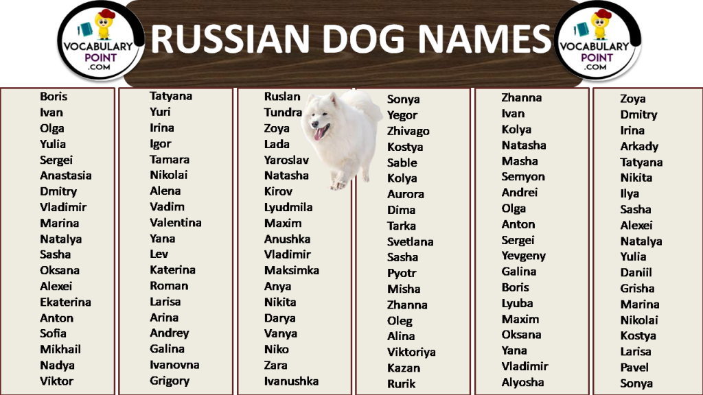 Most Popular Russian Dog Names Vocabulary Point   Most Popular Russian Dog Names 1 1024x576 