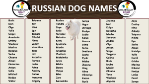 Most Popular Russian Dog Names 1 300x169 