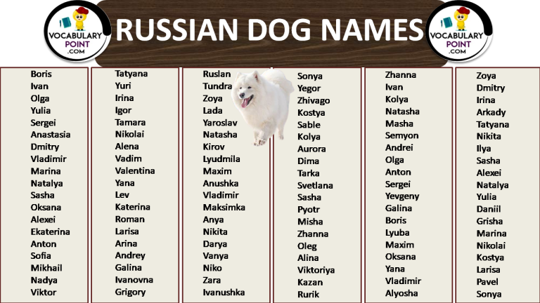 russian-dog-names-250-finding-the-right-one-pet-guide-reviews