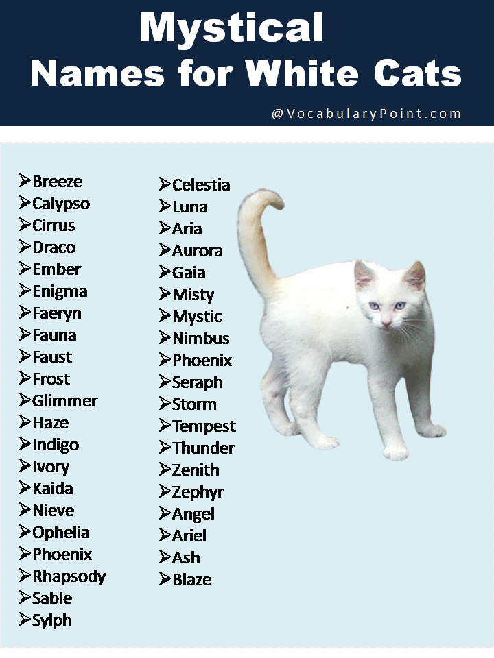 Mystical Names for White Cats