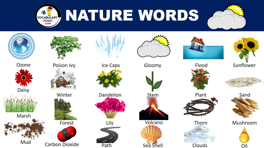 Most Beautiful Nature Vocabulary Words Vocabulary Point