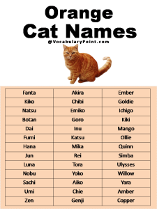 500+ Most Popular Cat Names in English - Vocabulary Point