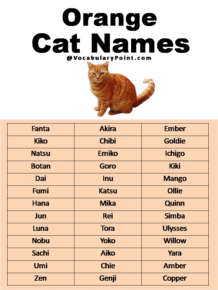 500 Most Popular Cat Names In English Vocabulary Point