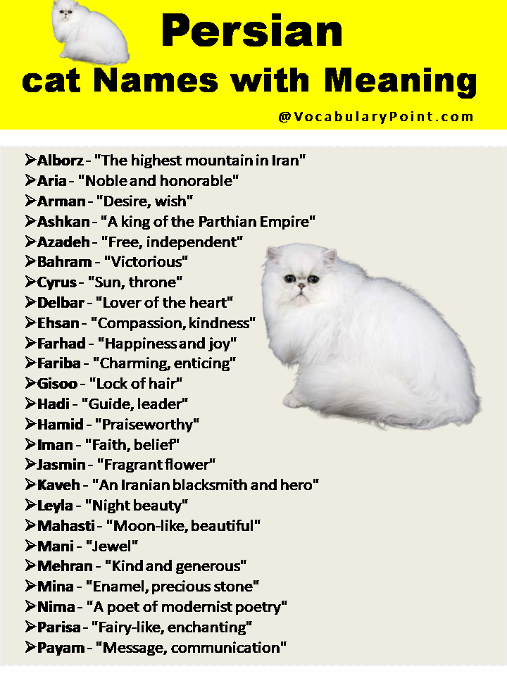 Persian cat Names with Meaning