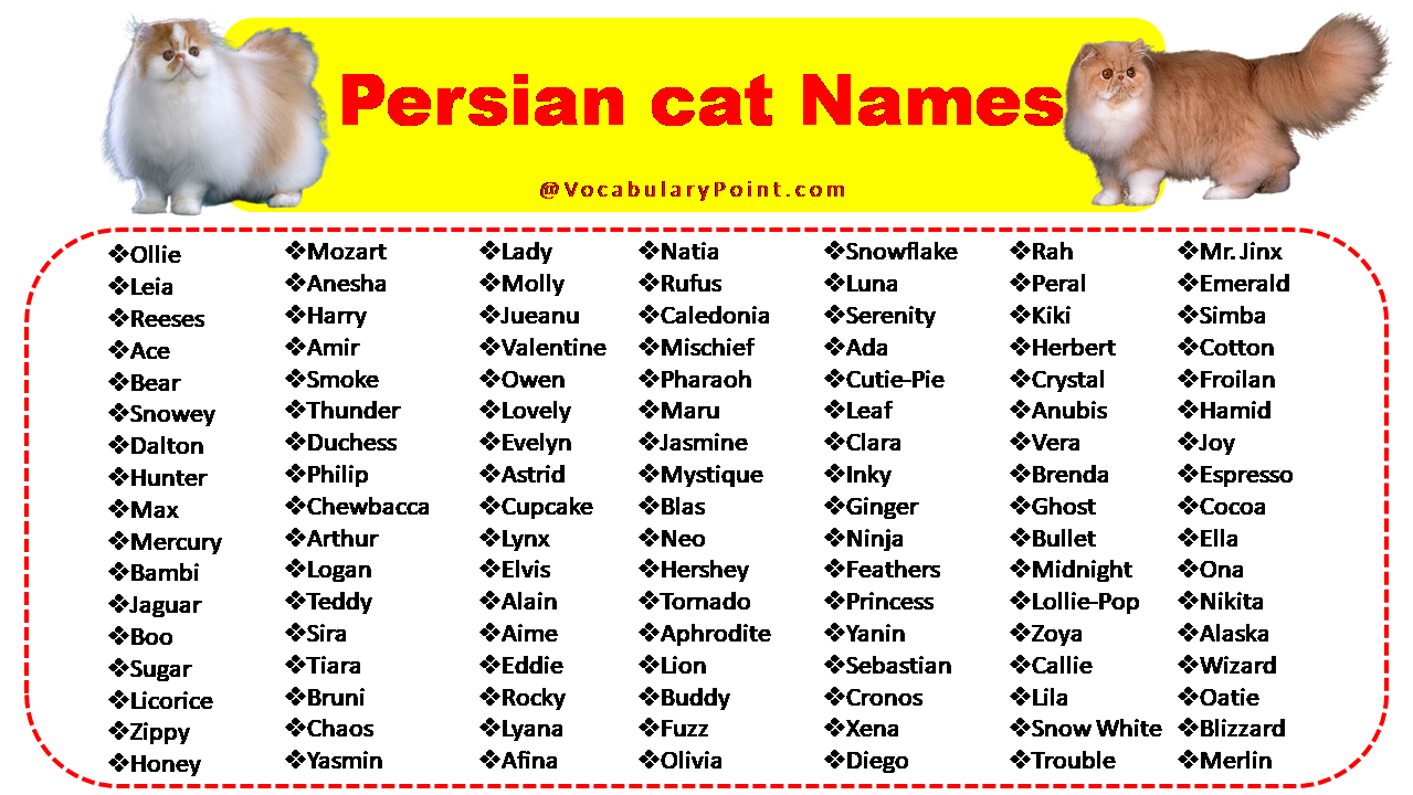 Persian cat Names