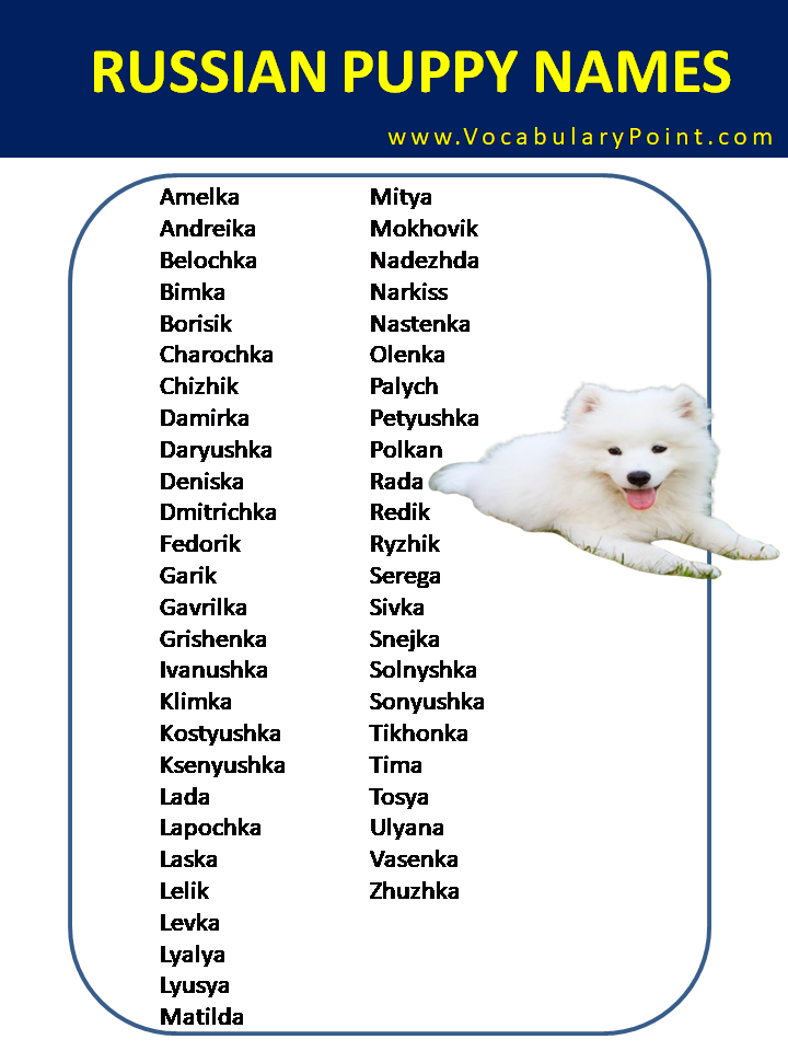 Russian Puppy Names