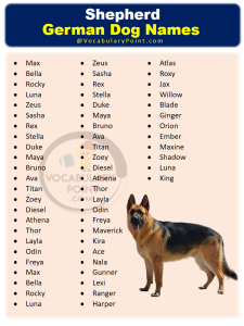 350+ Most Popular German Dog Names - Vocabulary Point