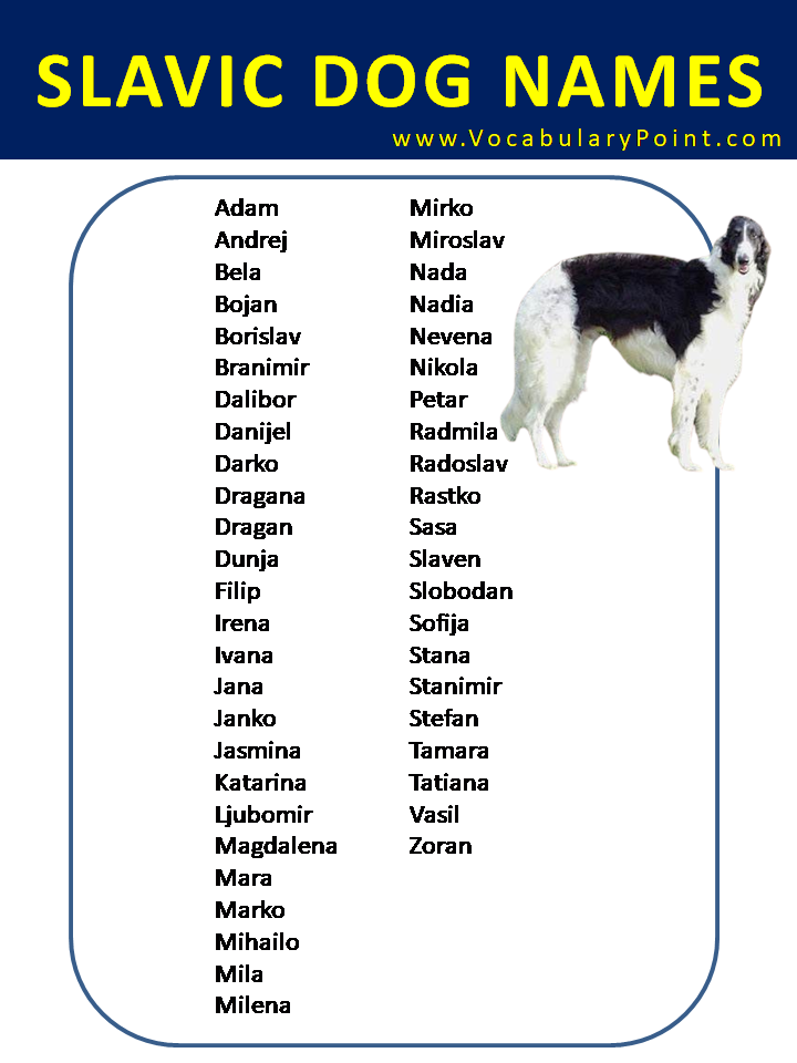 Slavic Dog Names