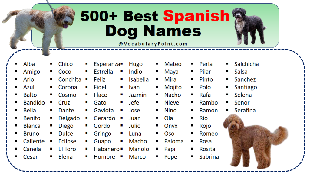 Female Dog Names Indian English