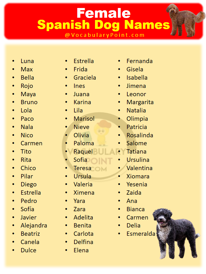 Spanish Dog Names For Females