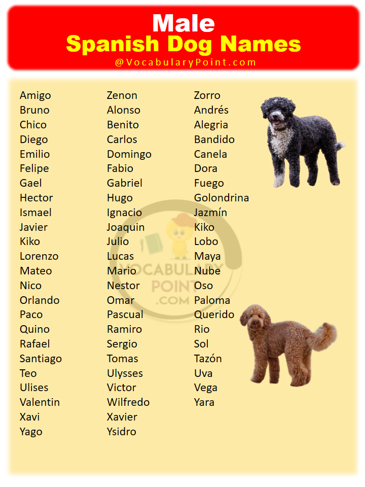 Spanish Names For Your Dad