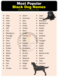 Most Popular Black Dog Names - Vocabulary Point