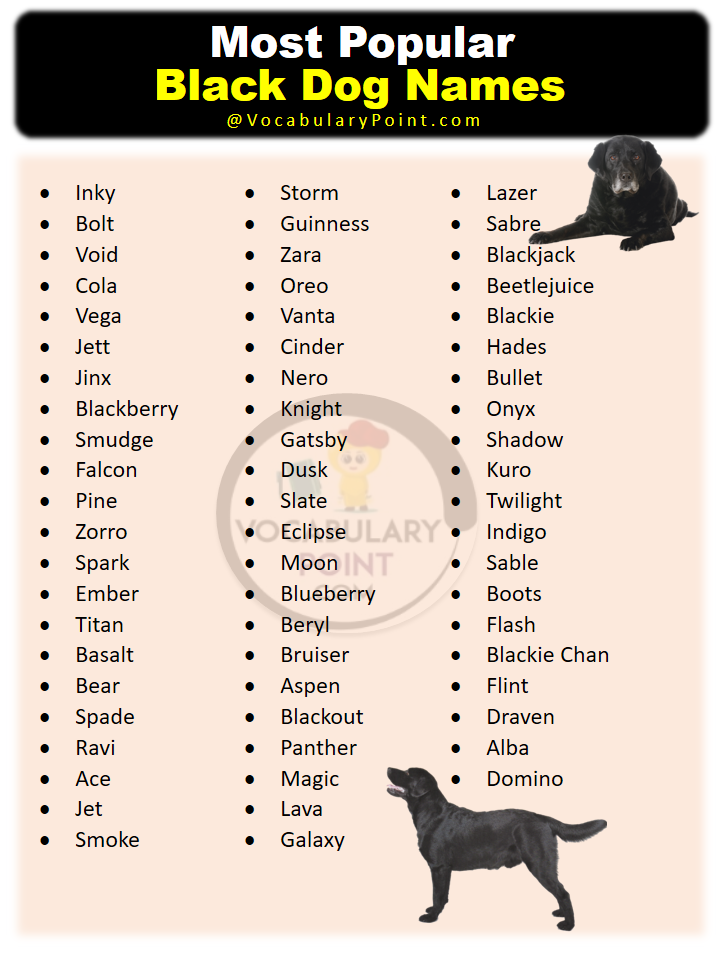 most-popular-black-dog-names-vocabulary-point