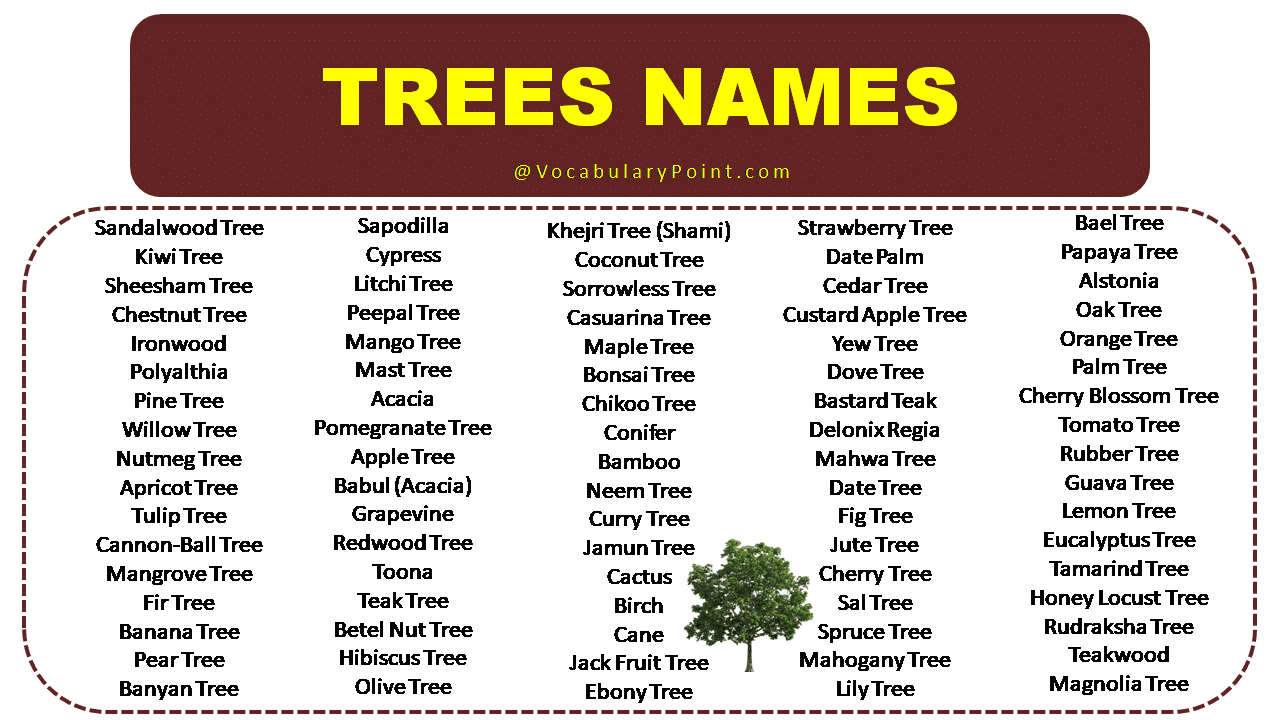 List Of Tree Names Vocabulary Point