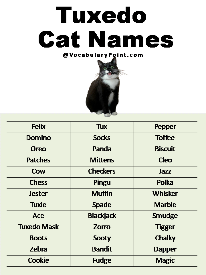 Tuxedo Cat Names