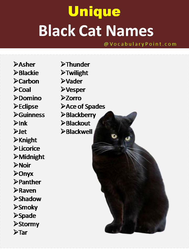 Unique Black Cat Names